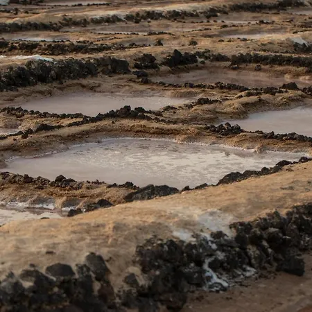 Сasa de vacaciones Casa Cocoteros. Un Rincón único De Desconexión Teguise (Lanzarote)